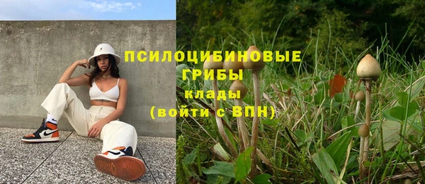 бошки Ельня