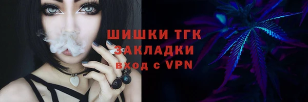 мет Дмитриев