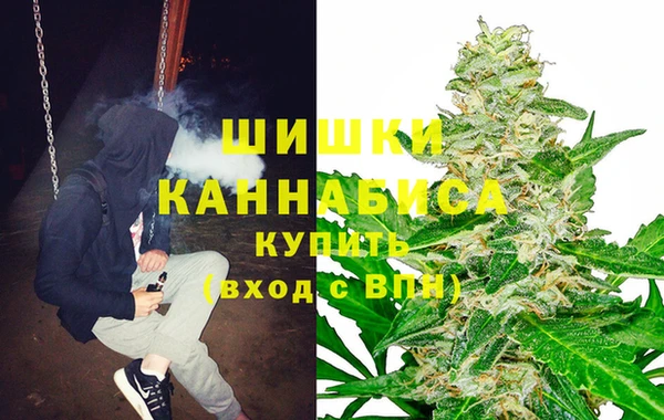 соль ск Дмитров